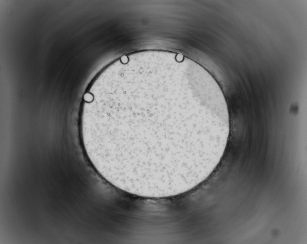 X0000103931138200810311511