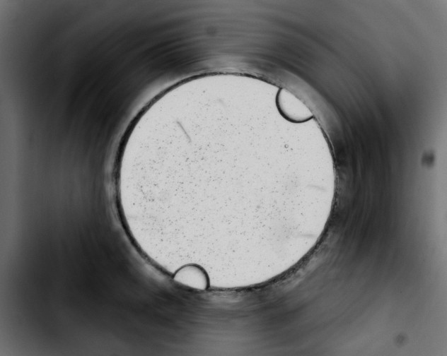 X0000103931141200810311511