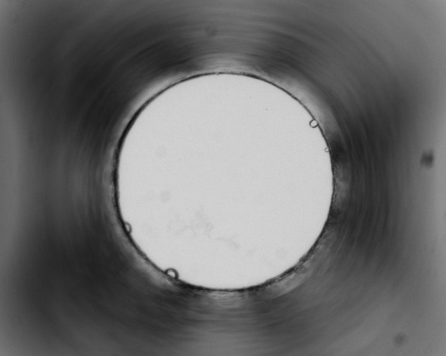 X0000103931142200810311511