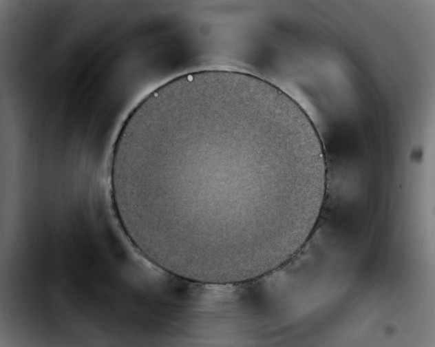 X0000103931144200810311511