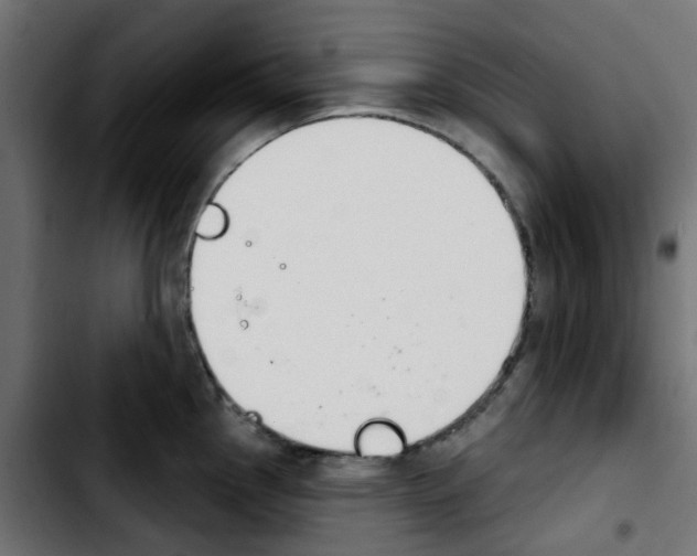 X0000103931145200810311511