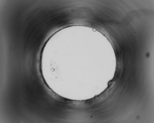 X0000103931147200810311511
