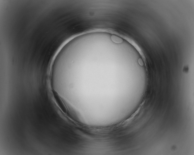X0000103931148200810311511