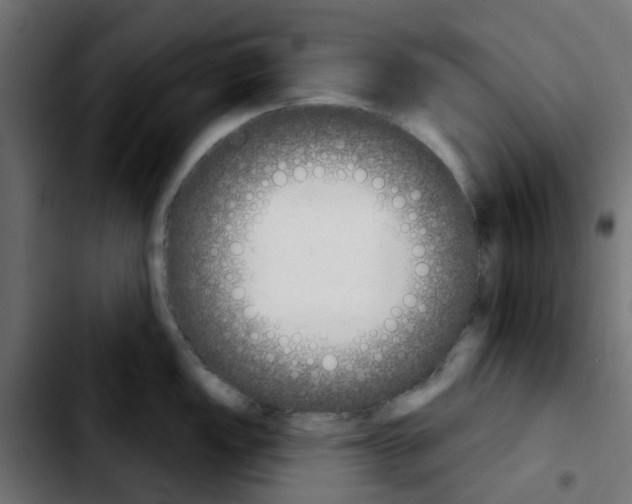 X0000103931149200810311511