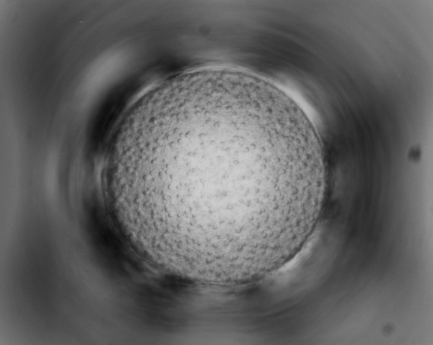X0000103931150200810311511