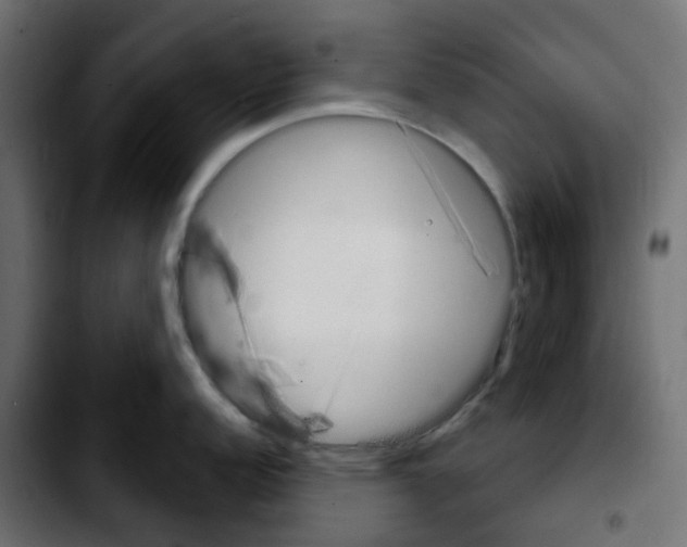 X0000103931152200810311511