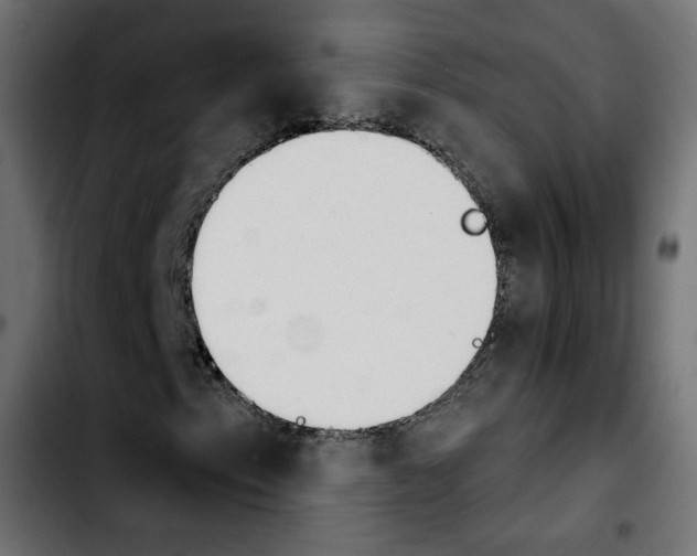X0000103931153200810311511