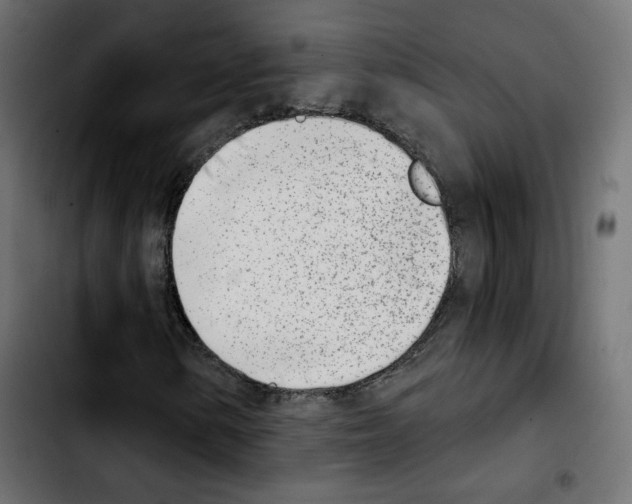 X0000103931154200810311511