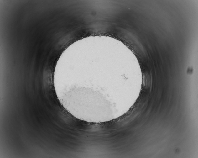 X0000103931155200810311511
