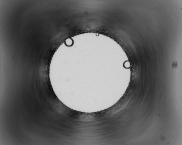 X0000103931156200810311511