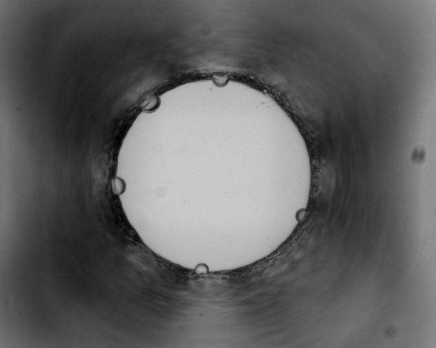 X0000103931157200810311511