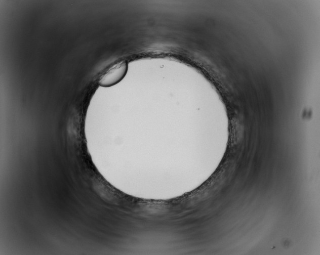 X0000103931158200810311511