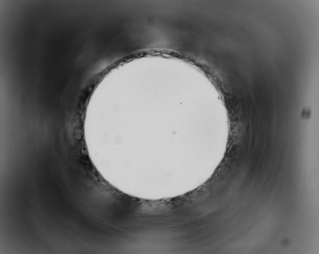 X0000103931159200810311511