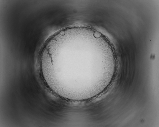 X0000103931160200810311511