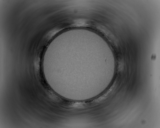 X0000103931161200810311511