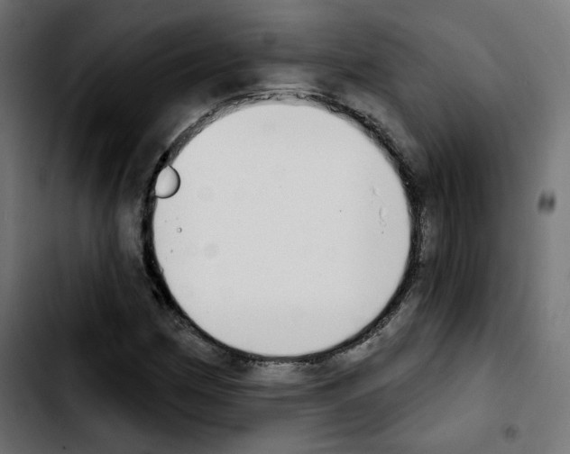 X0000103931162200810311511
