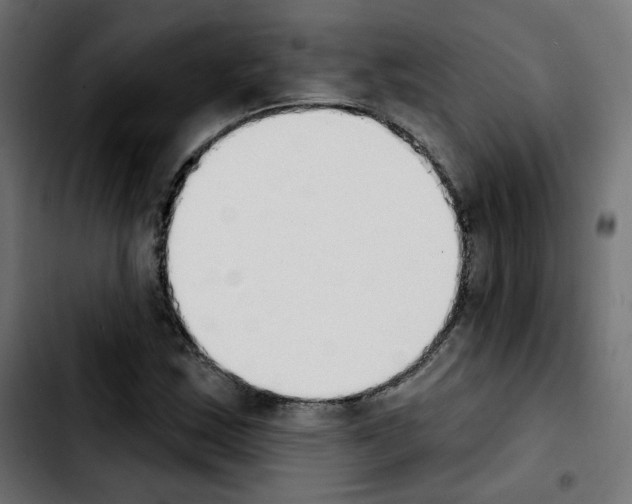 X0000103931163200810311511
