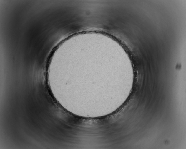X0000103931165200810311510