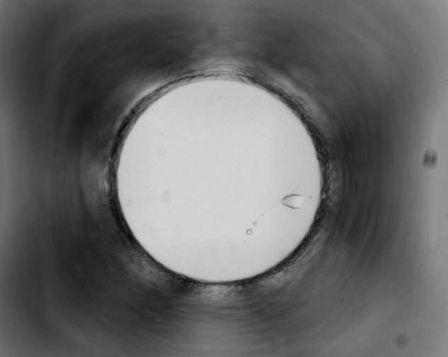 X0000103931166200810311510