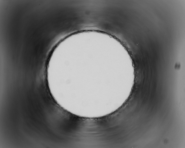X0000103931167200810311510