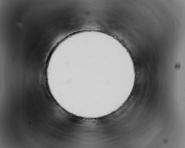 X0000103931168200810311510