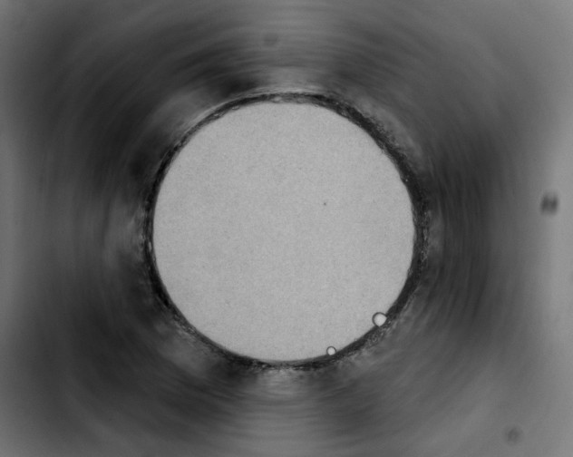 X0000103931169200810311510