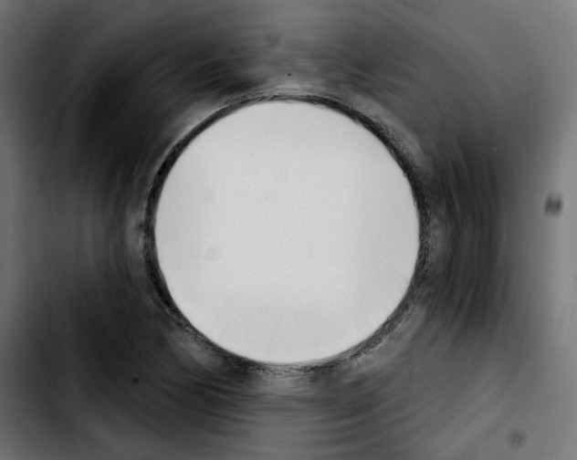 X0000103931170200810311510