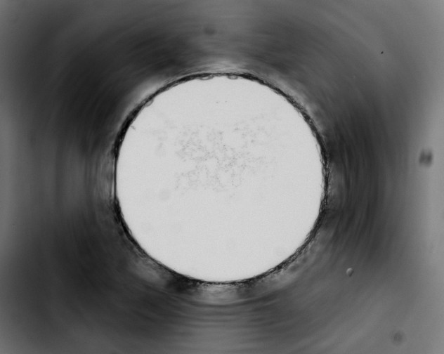 X0000103931171200810311510