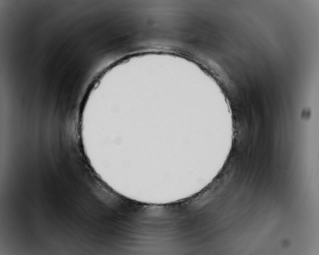 X0000103931172200810311510