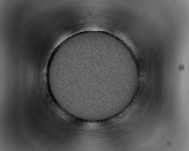 X0000103931173200810311510