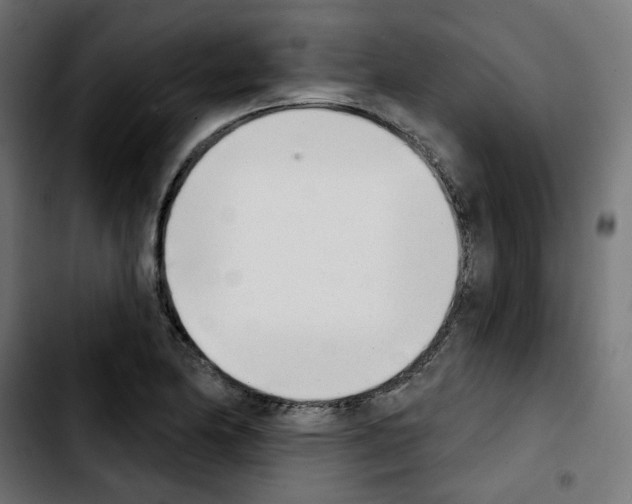 X0000103931174200810311510