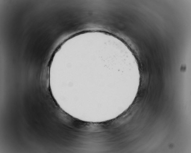 X0000103931175200810311510