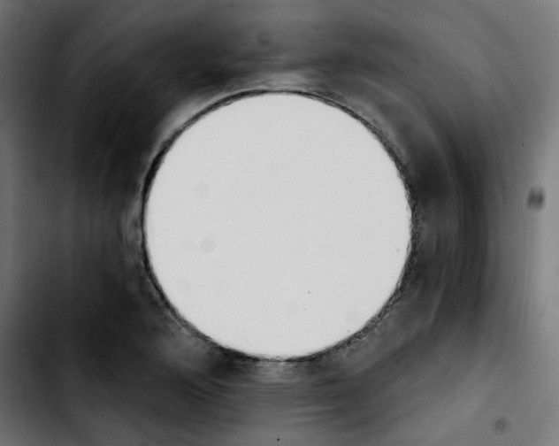 X0000103931176200810311510
