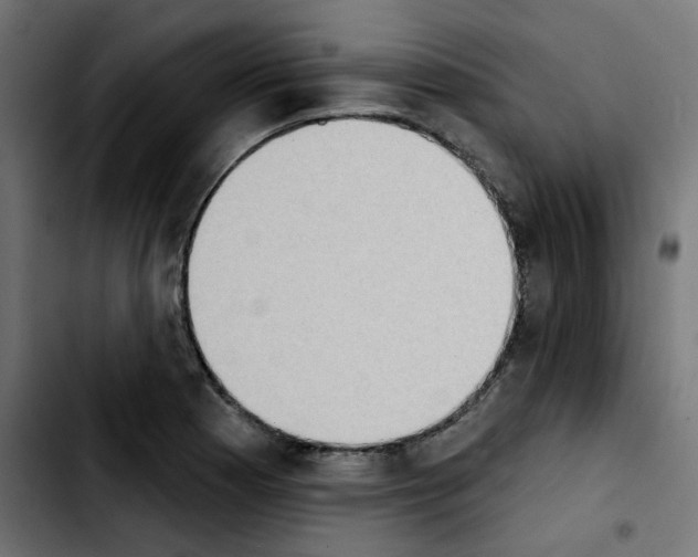 X0000103931177200810311510