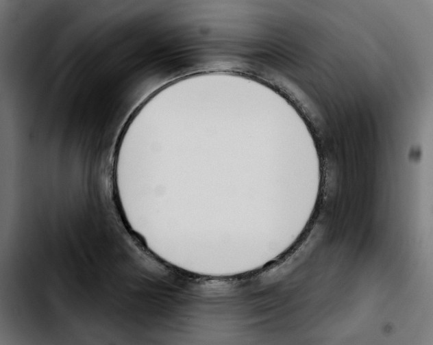 X0000103931178200810311510