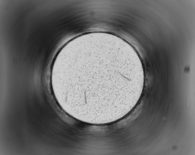 X0000103931179200810311510