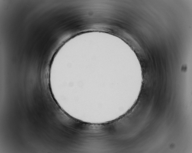 X0000103931180200810311510