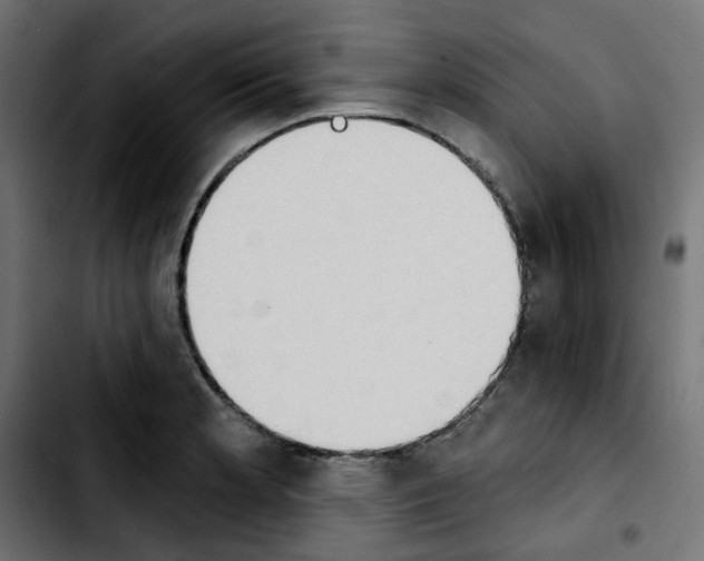 X0000103931181200810311510