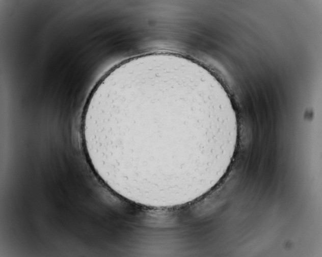 X0000103931182200810311510
