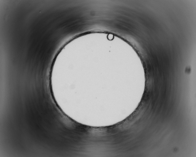 X0000103931183200810311510