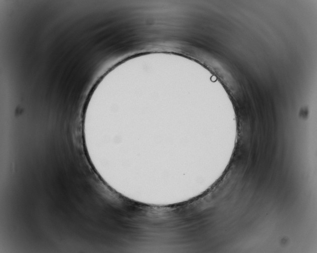X0000103931184200810311510