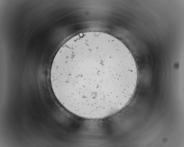 X0000103931185200810311510