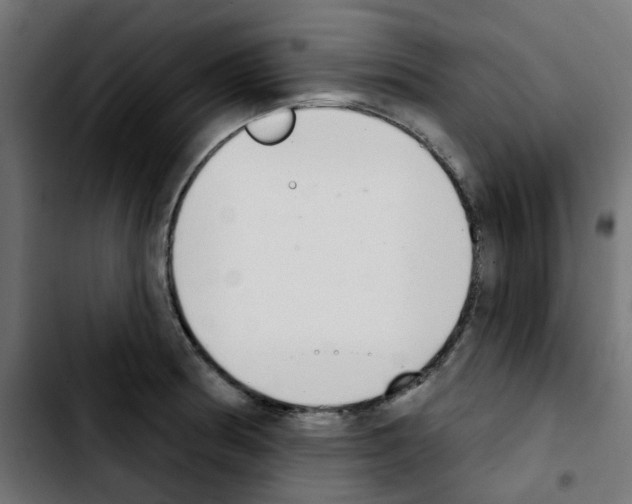 X0000103931186200810311510