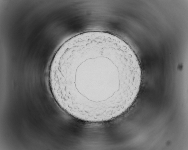 X0000103931187200810311510