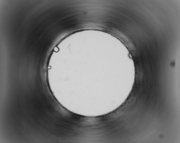 X0000103931188200810311510