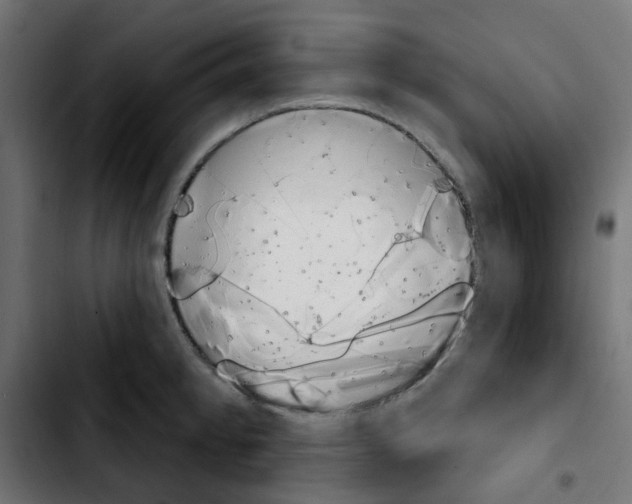 X0000103931189200810311510