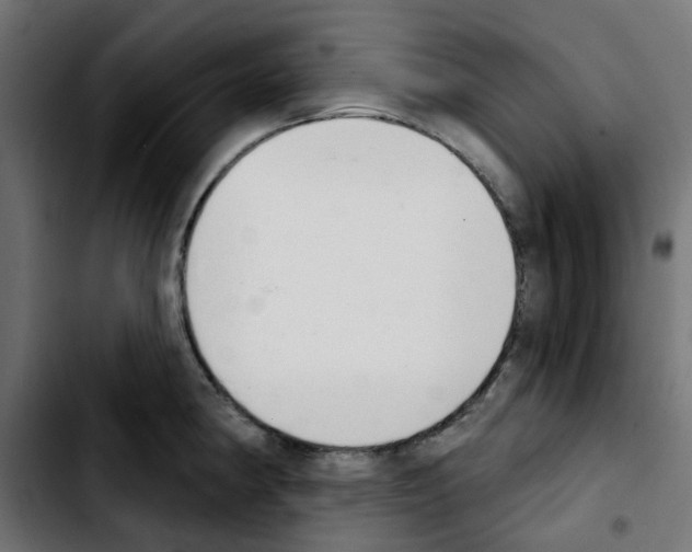 X0000103931190200810311510