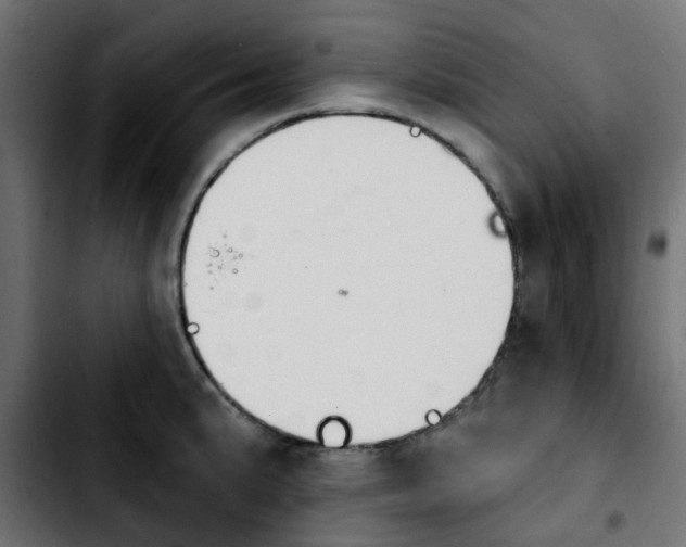 X0000103931191200810311510