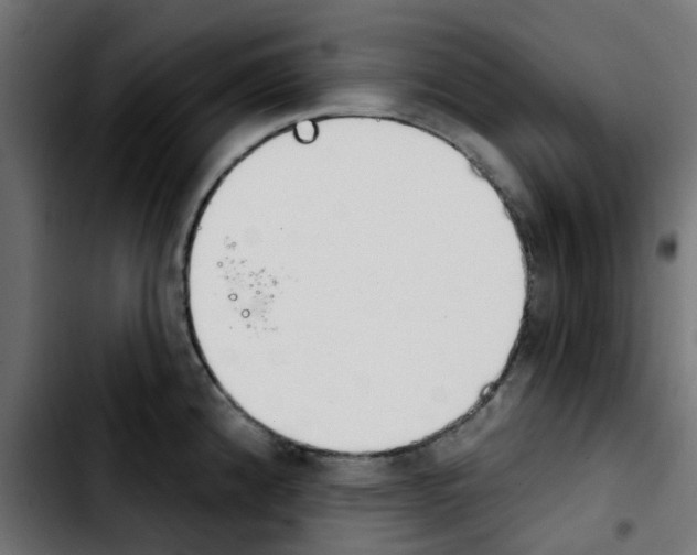 X0000103931192200810311510
