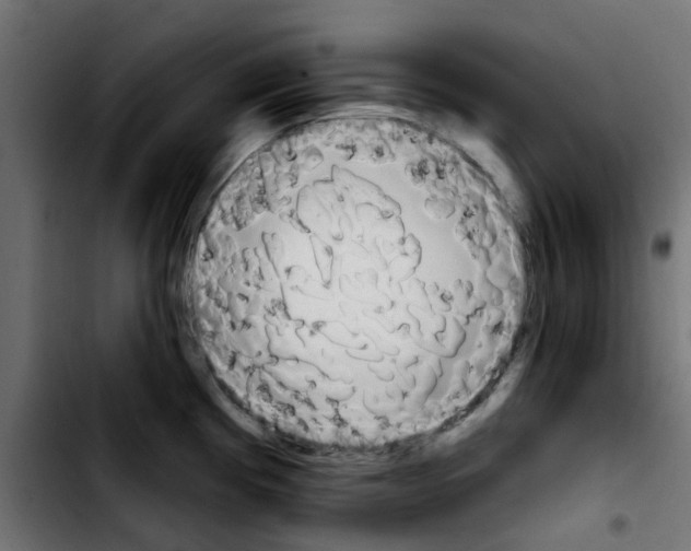 X0000103931193200810311510